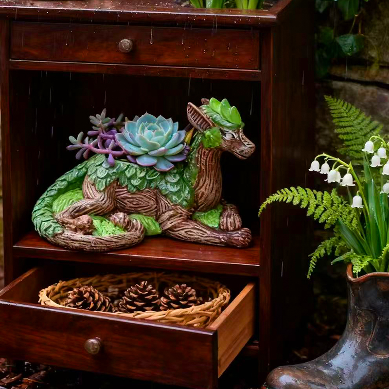 Креативный цветочный горшок в  – обзор и цена Echeveria Succulent