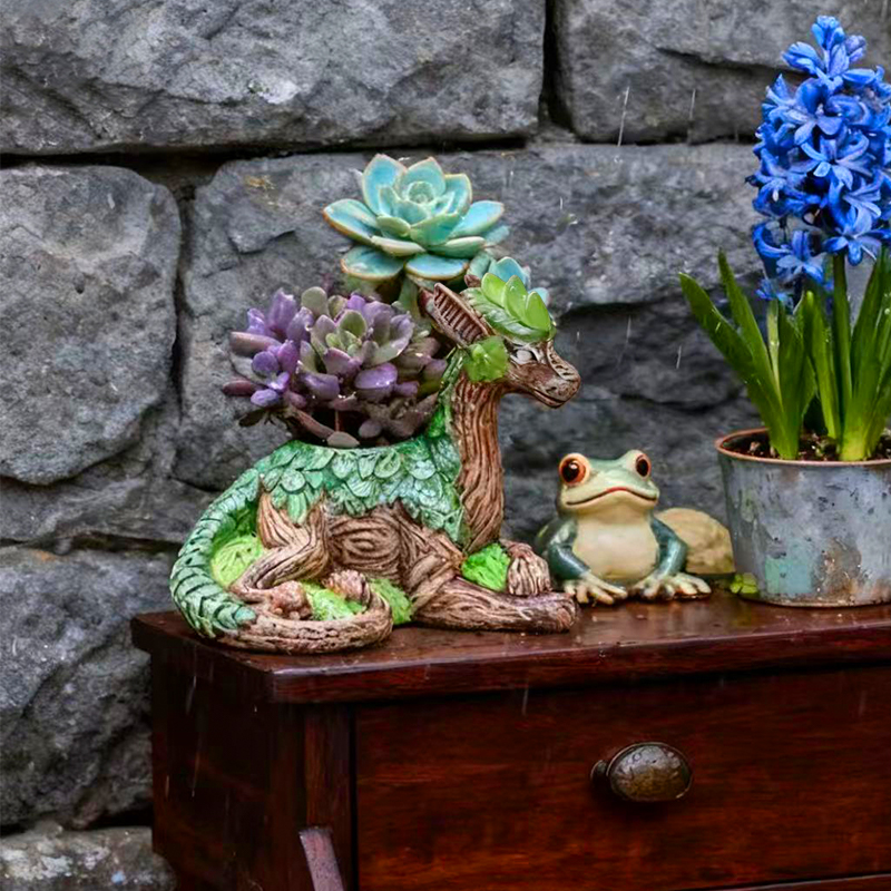 Креативный цветочный горшок в  – обзор и цена Echeveria Succulent