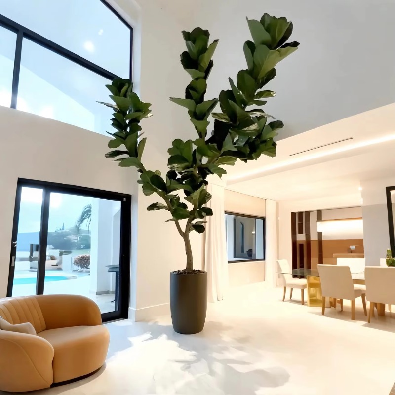 Искусственные растения Комнатн – обзор и цена Ficus Lyrata Tree